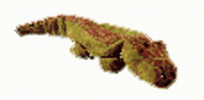 A Close Up Of A Stuffed Animal With A Long Tail . GIF