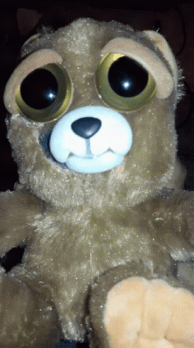 A Close Up Of A Stuffed Animal With Big Eyes And A White Nose GIF