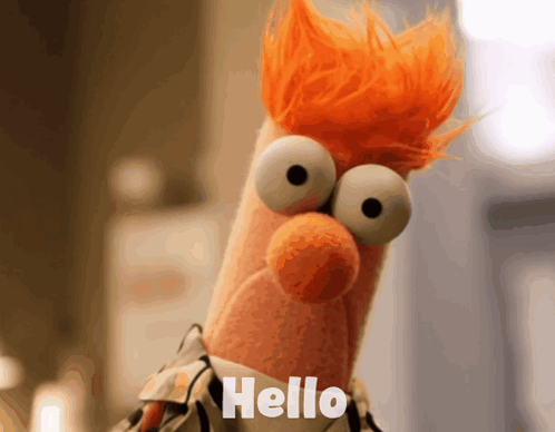 A Close Up Of A Stuffed Animal With The Word Hello Written On It GIF