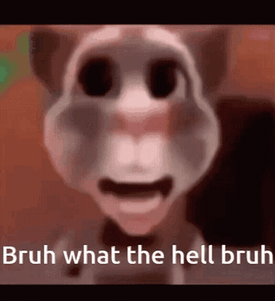 A Close Up Of A Talking Cat With The Words `` Bruh What The Hell Bruh '' . GIF