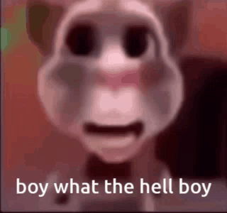 A Close Up Of A Talking Tom Cat With The Words `` Boy What The Hell Boy '' Written On It . GIF