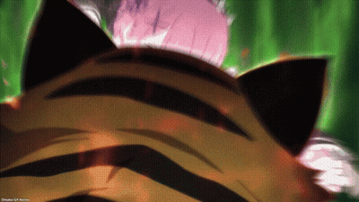 A Close Up Of A Tiger 'S Head With A Girl In The Background GIF