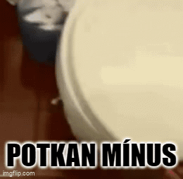 A Close Up Of A Toilet With The Words Potkan Minus On The Bottom GIF