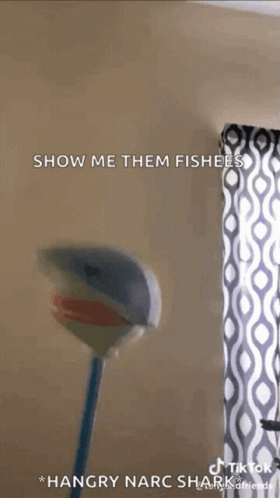 A Close Up Of A Toy Shark With The Words Show Me Them Fishees GIF