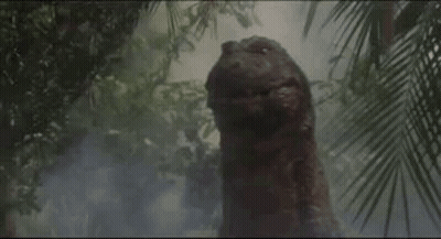 A Close Up Of A Tree In The Middle Of A Forest With Trees In The Background . GIF