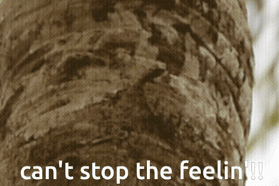 A Close Up Of A Tree Trunk With The Words Can 'T Stop The Feelin ' GIF
