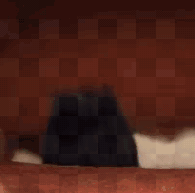 A Close Up Of A Troll Doll With A Black Hair And A Blue Nose . GIF