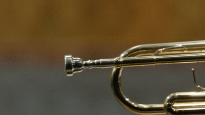 A Close Up Of A Trumpet With A Ring On The Valve GIF