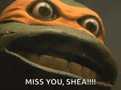 A Close Up Of A Turtle 'S Face With The Words `` Miss You , Shea !!! '' GIF