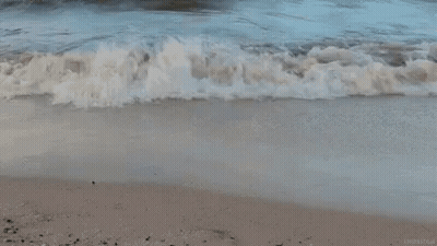 A Close Up Of A Wave Breaking On A Beach . GIF