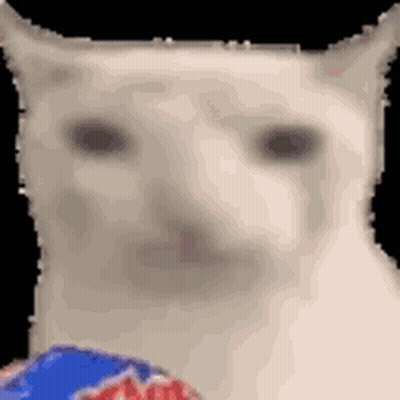 A Close Up Of A White Cat Holding A Bag Of Chips . GIF