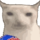 A Close Up Of A White Cat Holding A Blue And Red Lollipop . Sticker