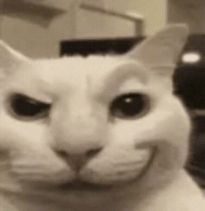 A Close Up Of A White Cat 'S Face With A Smile On Its Face . GIF