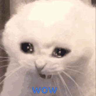 A Close Up Of A White Cat 'S Face With The Word Wow In Blue Letters . GIF