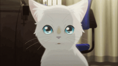 A Close Up Of A White Cat With Blue Eyes Looking At The Camera GIF