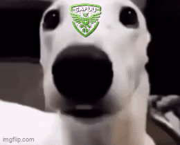 A Close Up Of A White Dog 'S Face With A Green Logo On It . GIF