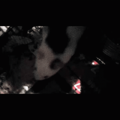 A Close Up Of A White Mouse Looking At The Camera In A Dark Room . GIF