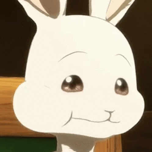 A Close Up Of A White Rabbit 'S Face With Big Eyes And A Slight Smile . GIF
