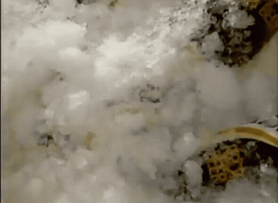 A Close Up Of A White Substance With A Yellow Object In The Background GIF