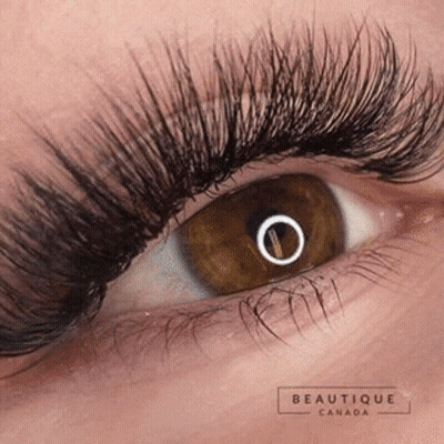 A Close Up Of A Woman 'S Eye With Very Long Eyelashes . GIF