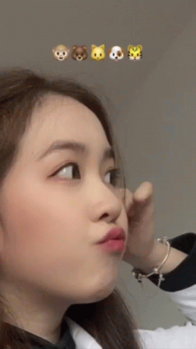 A Close Up Of A Woman 'S Face With Emojis Of Bears And Tigers Behind Her GIF