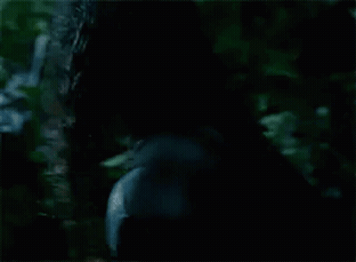 A Close Up Of A Woman 'S Face With Long Hair In The Woods . GIF