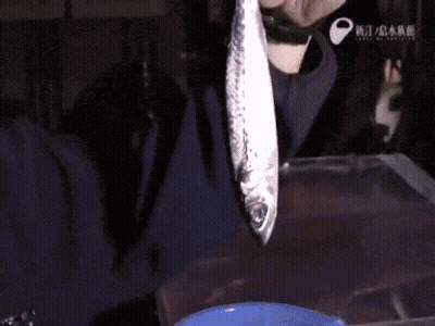 A Close Up Of A Worm With Chinese Writing On The Bottom Left GIF