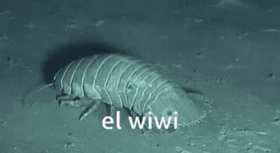 A Close Up Of A Worm With The Words El Wiwi Written On The Bottom GIF