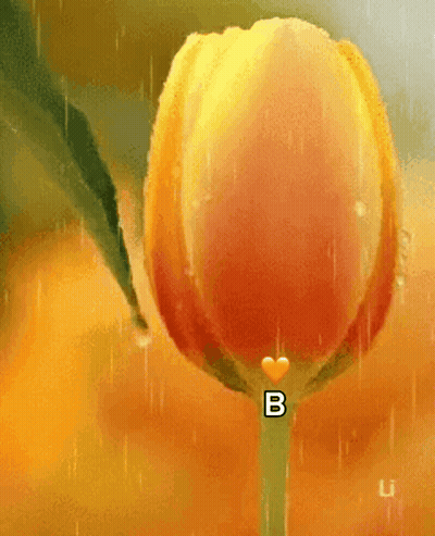 A Close Up Of A Yellow Flower With The Letter B On It GIF