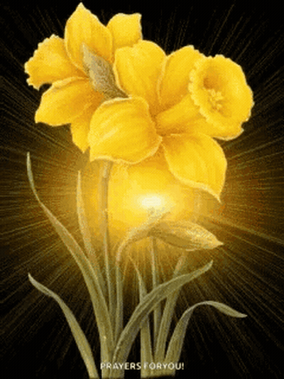 A Close Up Of A Yellow Flower With The Words `` Prayers For You '' Written On The Bottom . GIF