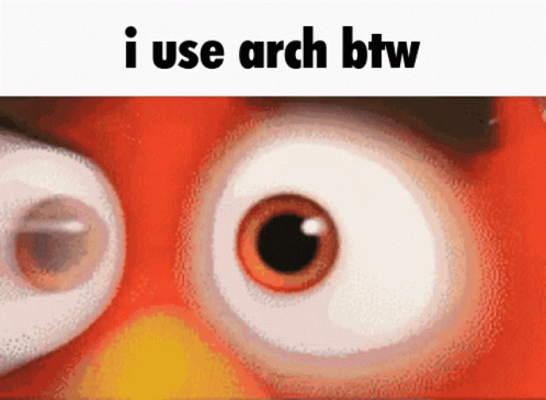 A Close Up Of An Angry Bird 'S Eyes With The Text I Use Arch Btw GIF
