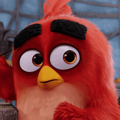 A Close Up Of An Angry Bird With A Yellow Beak GIF