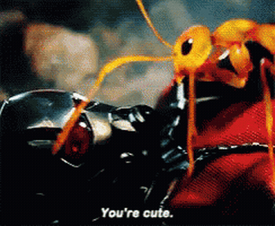 A Close Up Of An Ant With The Words " You 'Re Cute " On The Bottom GIF