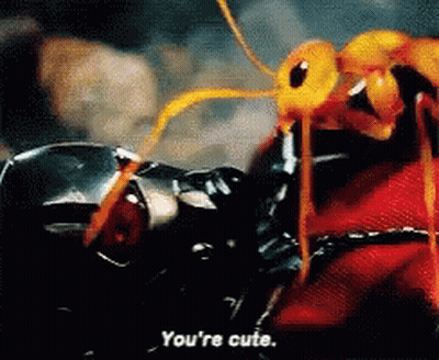 A Close Up Of An Ant With The Words " You 'Re Cute " On The Bottom GIF