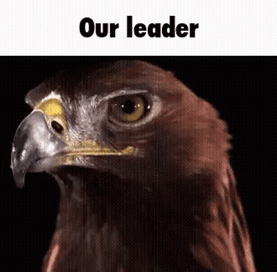 A Close Up Of An Eagle 'S Face With The Words Our Leader Above It GIF