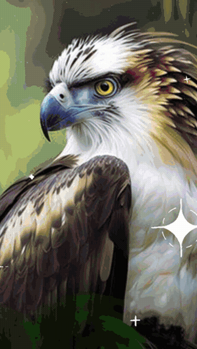 A Close Up Of An Eagle With A Star In The Background GIF
