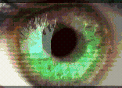 A Close Up Of An Eye With A Green Iris GIF