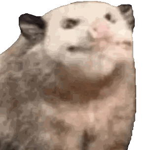 A Close Up Of An Opossum 'S Face With A Blurred Background Sticker