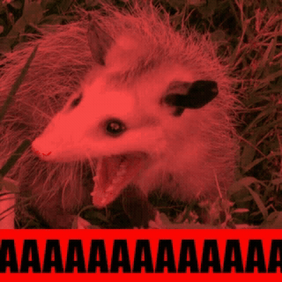 A Close Up Of An Opossum With Its Mouth Open In Front Of A Red Sign That Says Aaa GIF