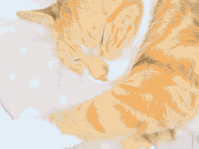A Close Up Of An Orange And White Cat Sleeping On A Blanket GIF