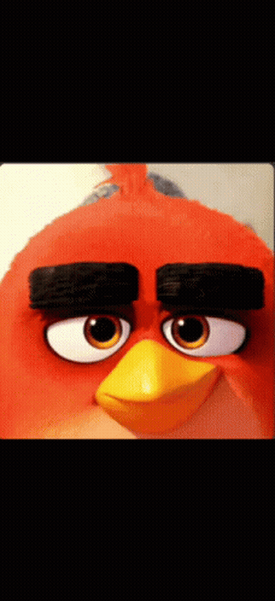A Close Up Of An Orange Angry Bird With Black Eyebrows And A Yellow Beak GIF