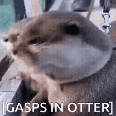 A Close Up Of An Otter Eating A Stick With The Words `` Gasps In Otter '' Written Next To It . GIF