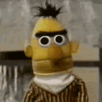 A Close Up Of Bert From Sesame Street With Big Eyes And A Ponytail . GIF