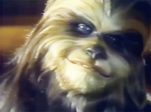 A Close Up Of Chewbacca 'S Face With A Beard And Blue Eyes GIF