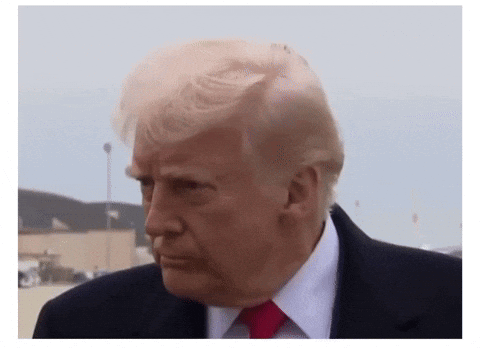 A Close Up Of Donald Trump 'S Face And Hair GIF