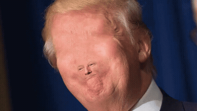 A Close Up Of Donald Trump 'S Face With A Very Small Nose GIF