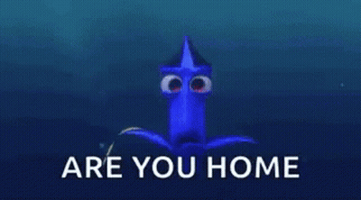 A Close Up Of Dory 'S Eyes With The Words `` Are You Home '' Behind Them . GIF