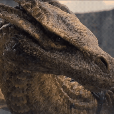 A Close Up Of The Face Of A Dragon GIF