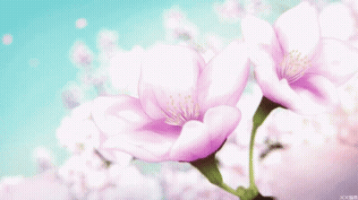A Close Up Of Two Pink Flowers With A Blue Sky In The Background .. GIF