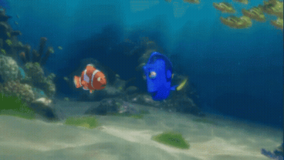 A Clown Fish And A Blue Fish Are Swimming Together In The Ocean GIF